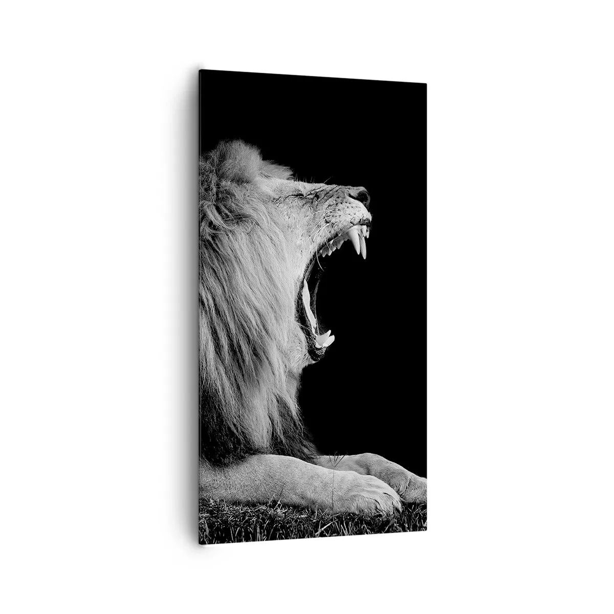 Canvastavla - Bild på duk - Utan någon tvekan - 65x120 cm