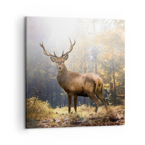 Canvastavla - Bild på duk - I fullt majestät - 50x50 cm