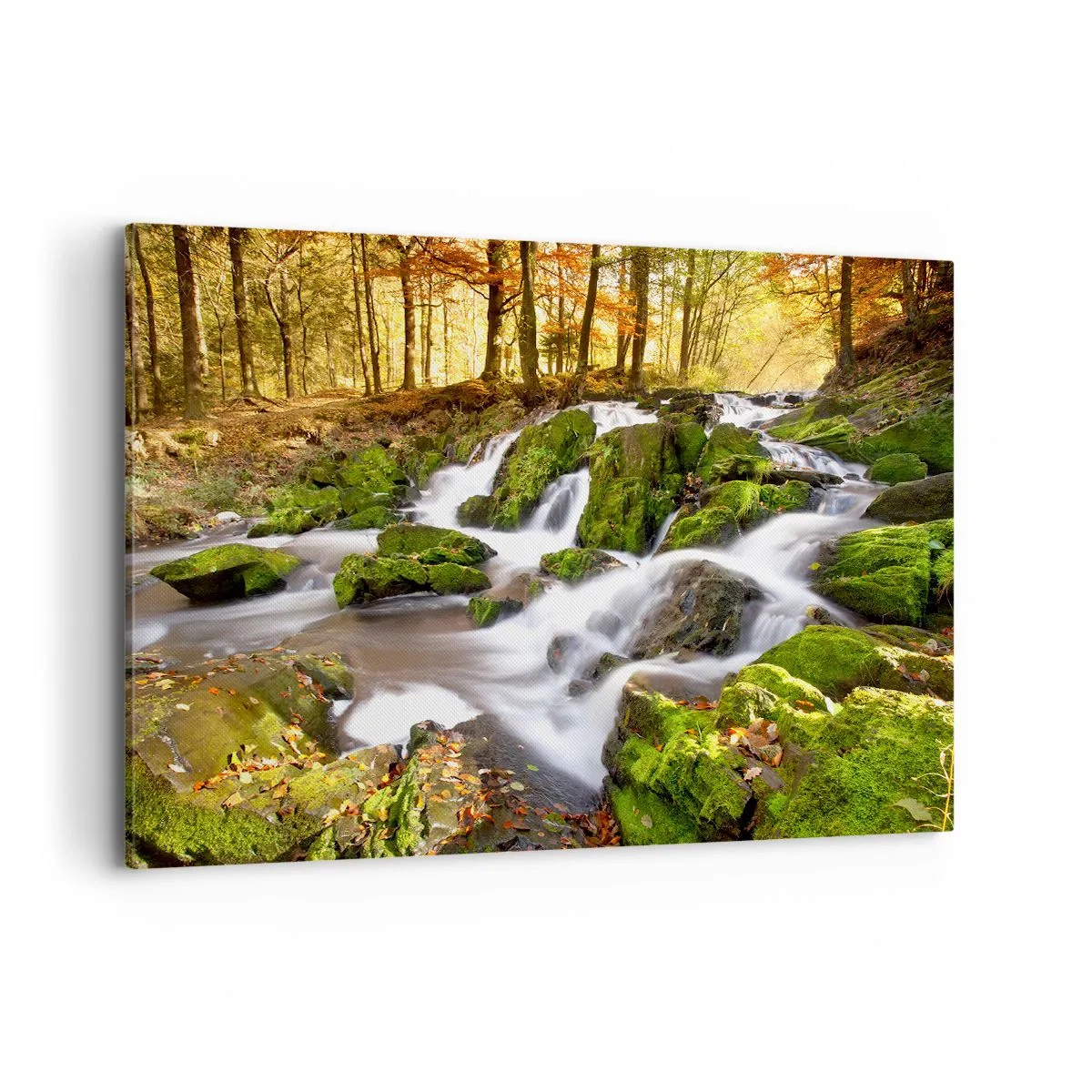 Canvastavla - Bild på duk - Kvickt genom höstskogen - 120x80 cm