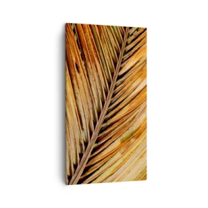 Canvastavla - Bild på duk - Kokosguld - 45x80 cm