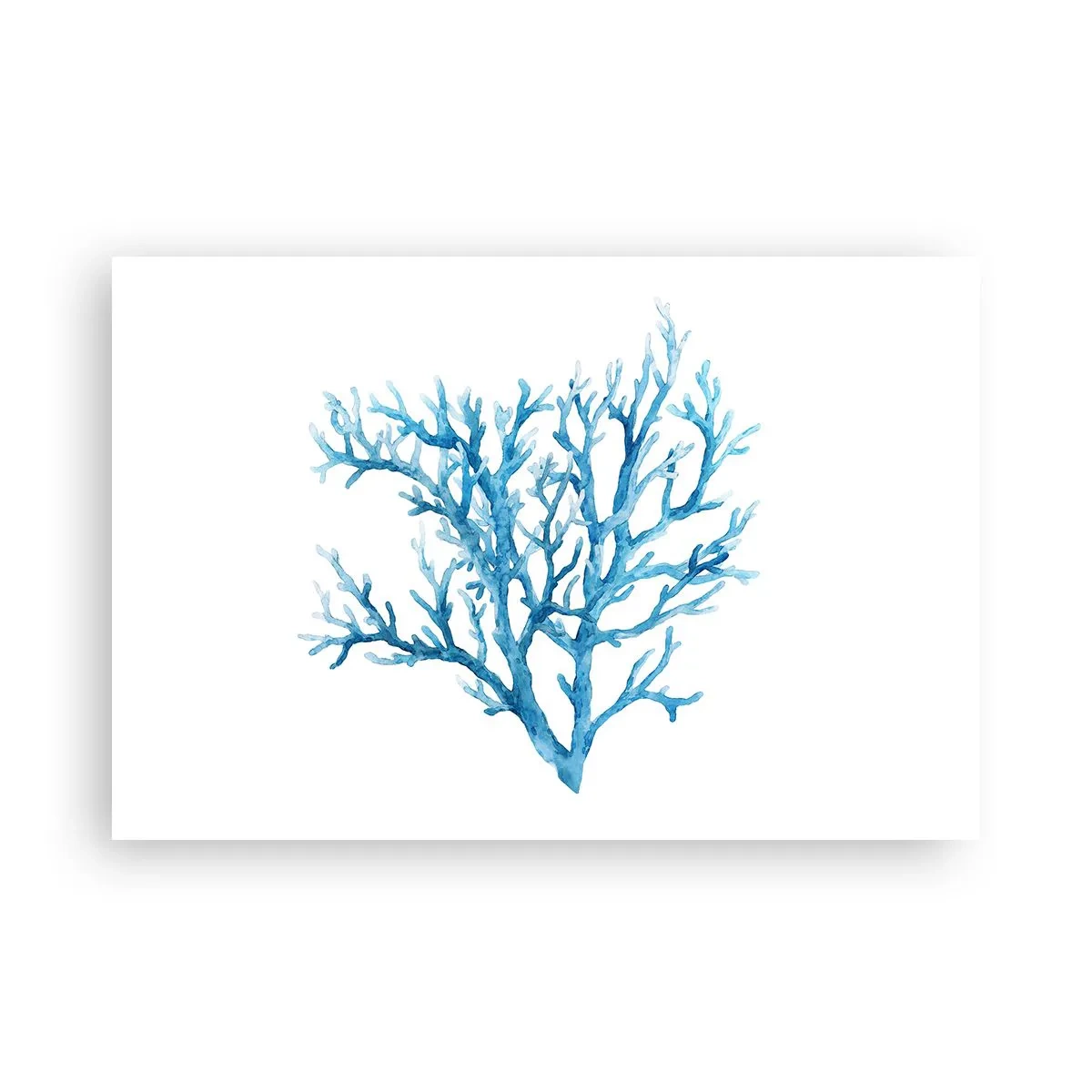 Affisch - Marin filigran - 91x61 cm