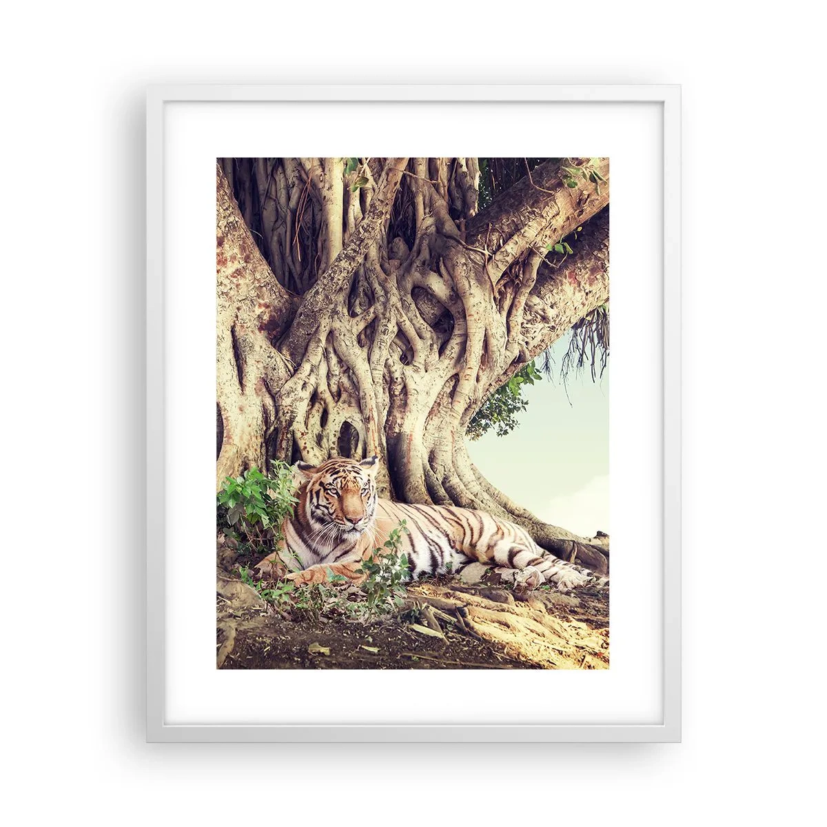 Affisch i vit ram - Vi från Första Moseboken - 40x50 cm