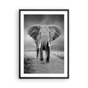 Affisch i svart ram - En elefant mot ett afrikanskt landskap i svartvitt - 50x70cm - Värden hälsar välkommen - Modern väggdekoration för vardagsrum och sovrum ARTTOR