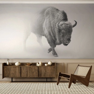 Självhäftande Fototapet Deluxe Sticker - Präriens kung - Wisent, Djur, Bison - 500x350 cm