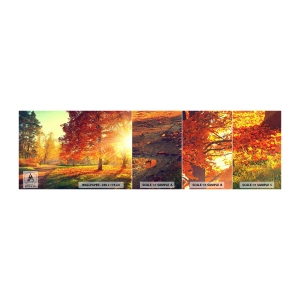 Fototapet Prov Standard Eco - Rött är vackert - Landskap, Parkera, Natur - 100x30 cm