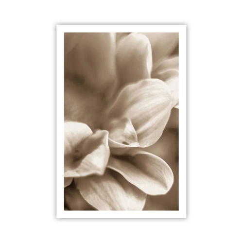 Affisch - Milda som ett leende - 61x91 cm