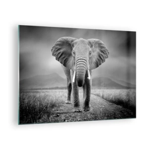 Glastavla - Bild på glas - Elefant på savannen i svartvitt - 70x50cm - Värden hälsar välkommen - Modern väggdekoration för vardagsrum och sovrum ARTTOR