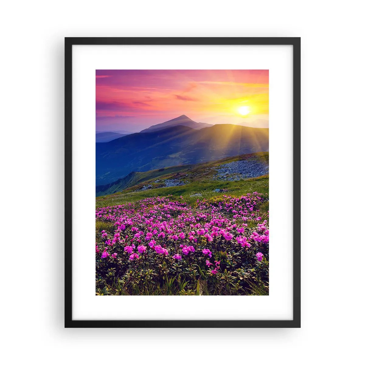 Affisch i svart ram - … Bergtallen doftar och örterna luktar runt omkring - 40x50 cm