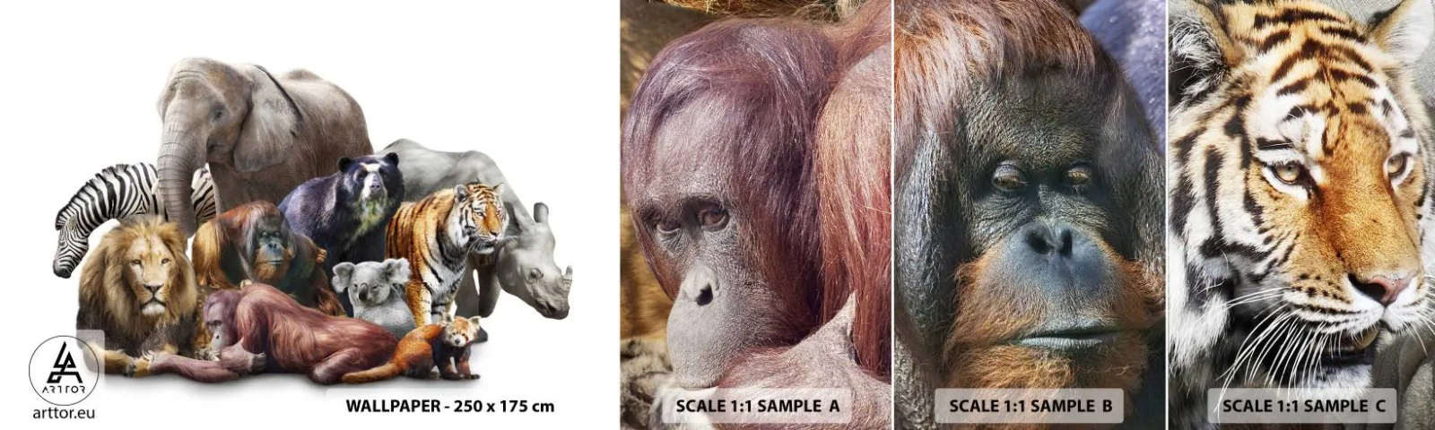 Fototapet Prov Standard Eco - Afrikans familjefoto - Abstraktion, Djur, Afrikas fem stora - 100x30 cm
