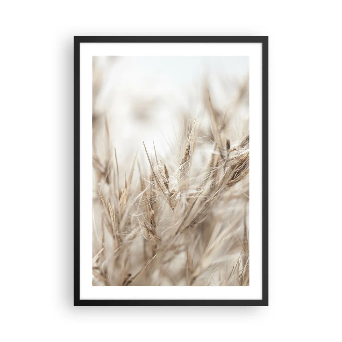 Affisch i svart ram - Fina grässpikar i beige - 50x70cm - Äng och vind - Modern väggdekoration för vardagsrum och sovrum ARTTOR