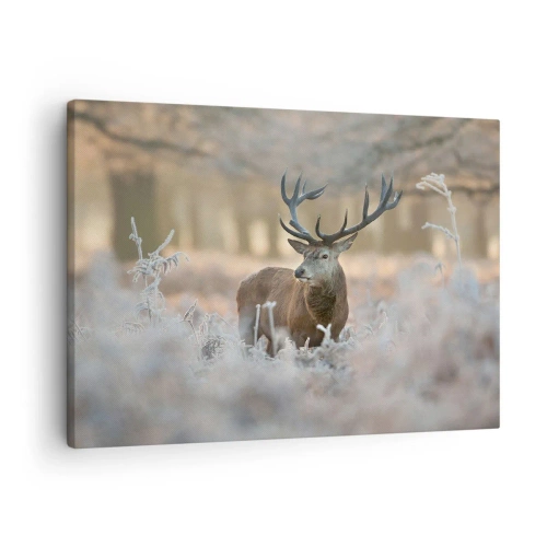 Canvastavla - Bild på duk - En hjort i en frostig glänta i en vinterskog med subtila färger - 70x50cm - Uppfriskande morgon - Modern väggdekoration för vardagsrum och sovrum ARTTOR