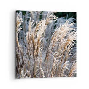 Canvastavla - Bild på duk - Frostprydda - 70x70 cm