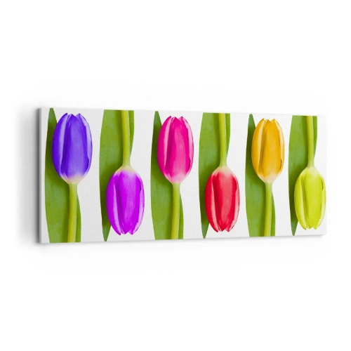 Canvastavla - Bild på duk - Regnbågskomposition - 100x40 cm
