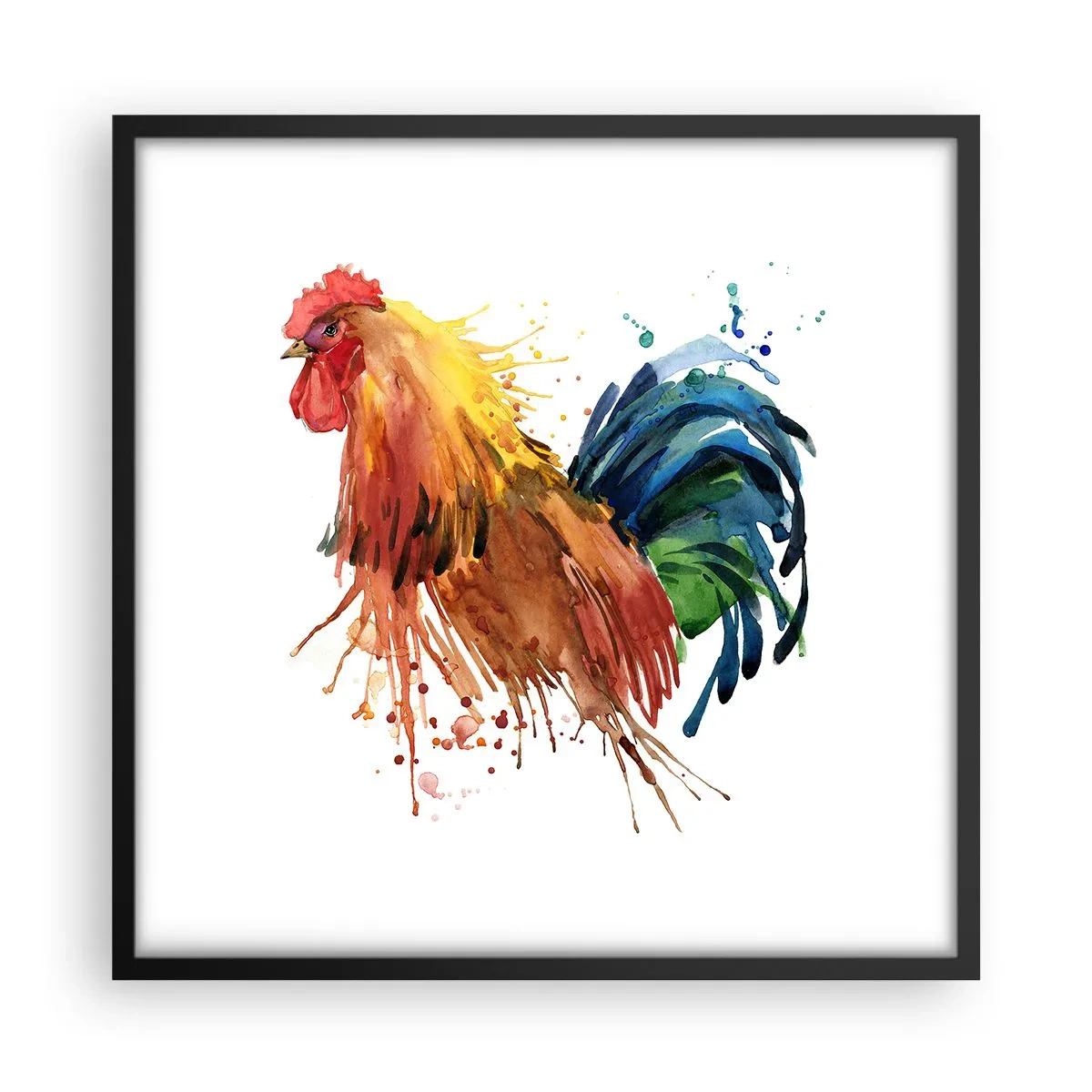 Affisch i svart ram - Kungliga kläder, kunglig stolthet - 50x50 cm