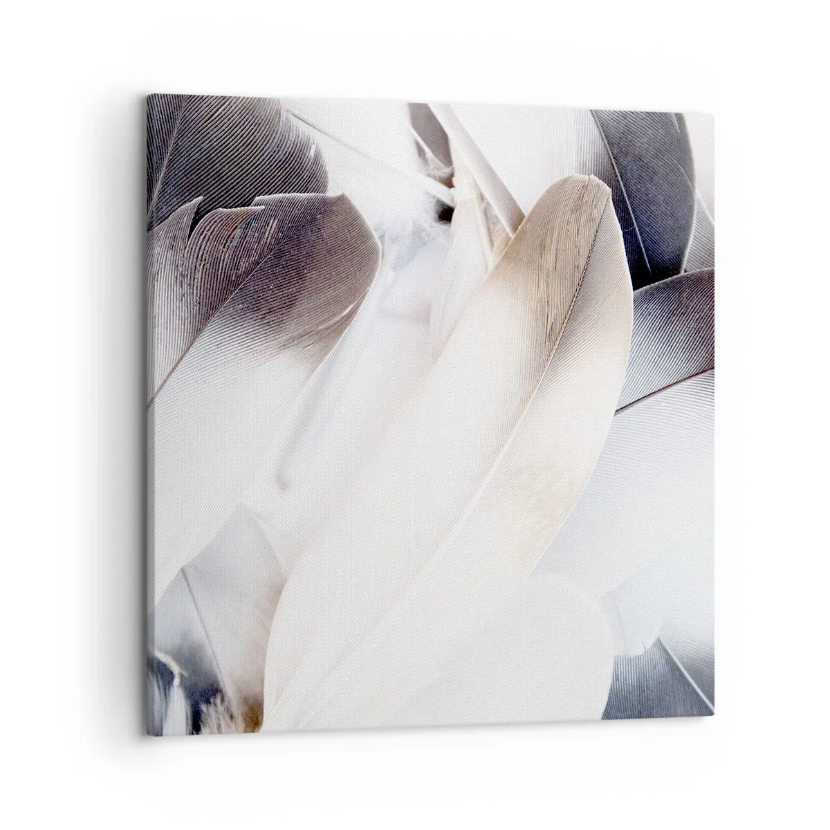 Canvastavla - Bild på duk - Nästan änglalik - 50x50 cm