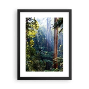 Affisch i svart ram - Skogens saga - 30x40 cm