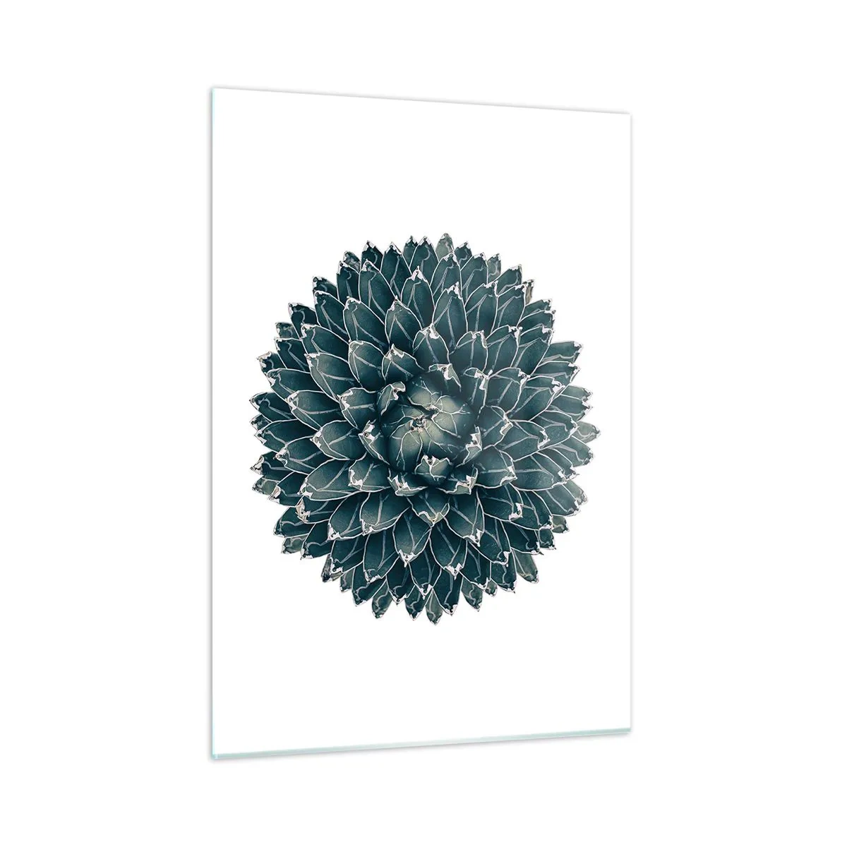 Glastavla - Bild på glas - Öknens stjärna - 50x70 cm