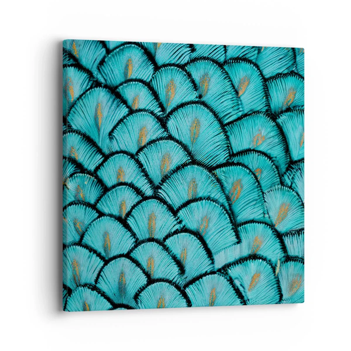 Canvastavla - Bild på duk - Den stora fjädergalan - 40x40 cm