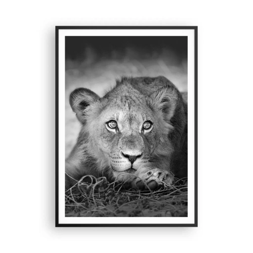 Affisch i svart ram - Kunglig valp - 70x100 cm