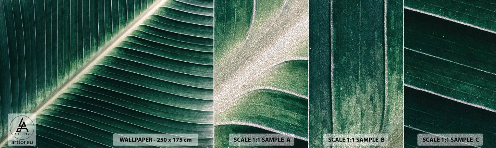 Provbit av fototapet Premium Sand - Naturens rytm - Abstraktion, Grönt löv, Grafik - 100x30 cm