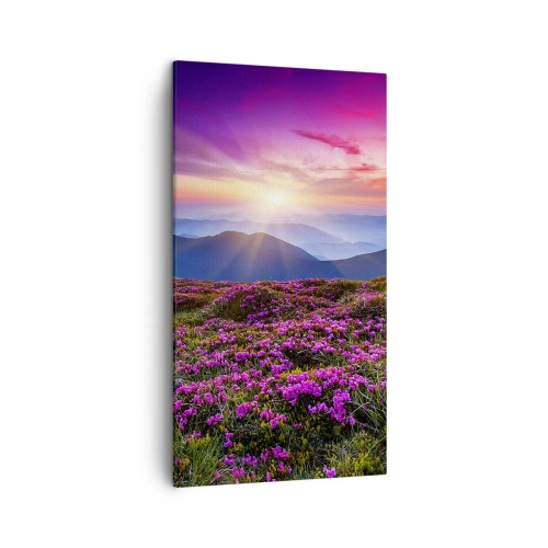 Canvastavla - Bild på duk - Doftande örter - 45x80 cm