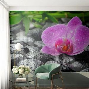Självhäftande Fototapet Deluxe Sticker - Som öppet hjärta - Blommor, Orkide, Orkide - 350x256 cm