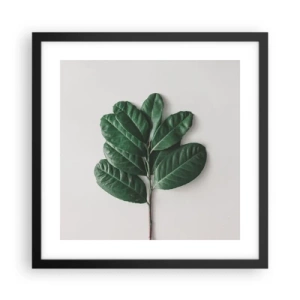 Affisch i svart ram - Själva naturens bild - 40x40 cm