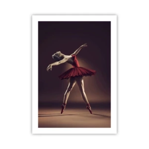 Affisch - Prima ballerina - 50x70 cm