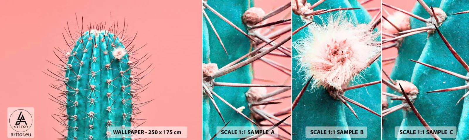 Fototapet Prov Standard Eco - Titta bara - Kaktus, Pastell, Minimalism - 100x30 cm