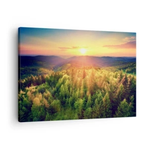 Canvastavla - Bild på duk - Skogslandskap med solnedgång över kullarna - 70x50cm - Trädtoppar och bergstoppar - Modern väggdekoration för vardagsrum och sovrum ARTTOR