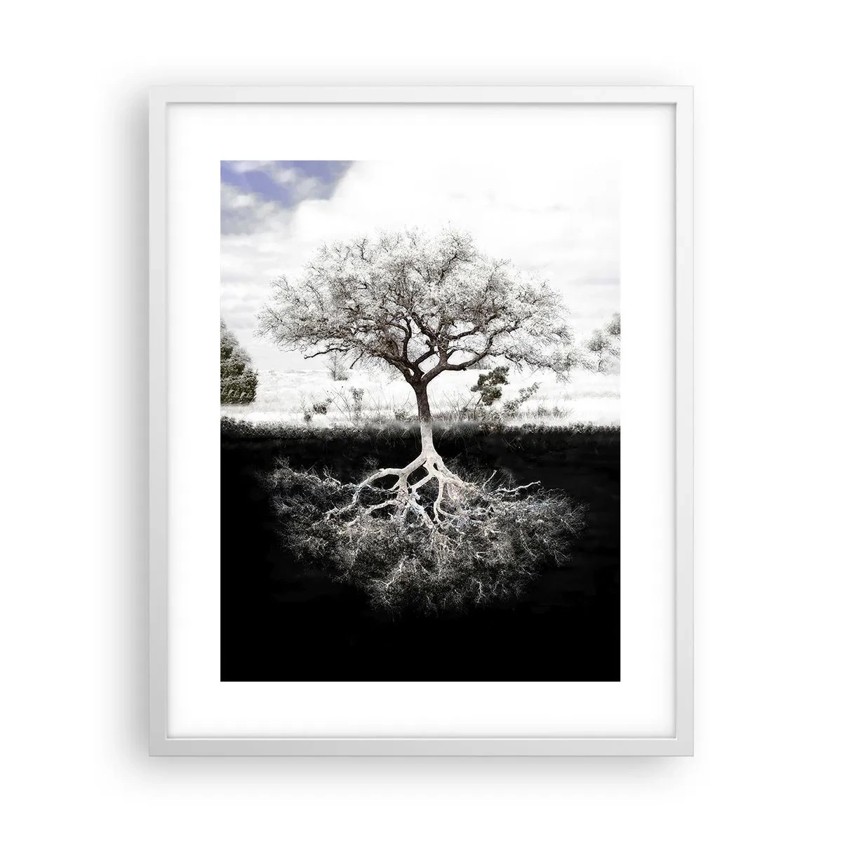 Affisch i vit ram - Upptäckt av världens natur - 40x50 cm