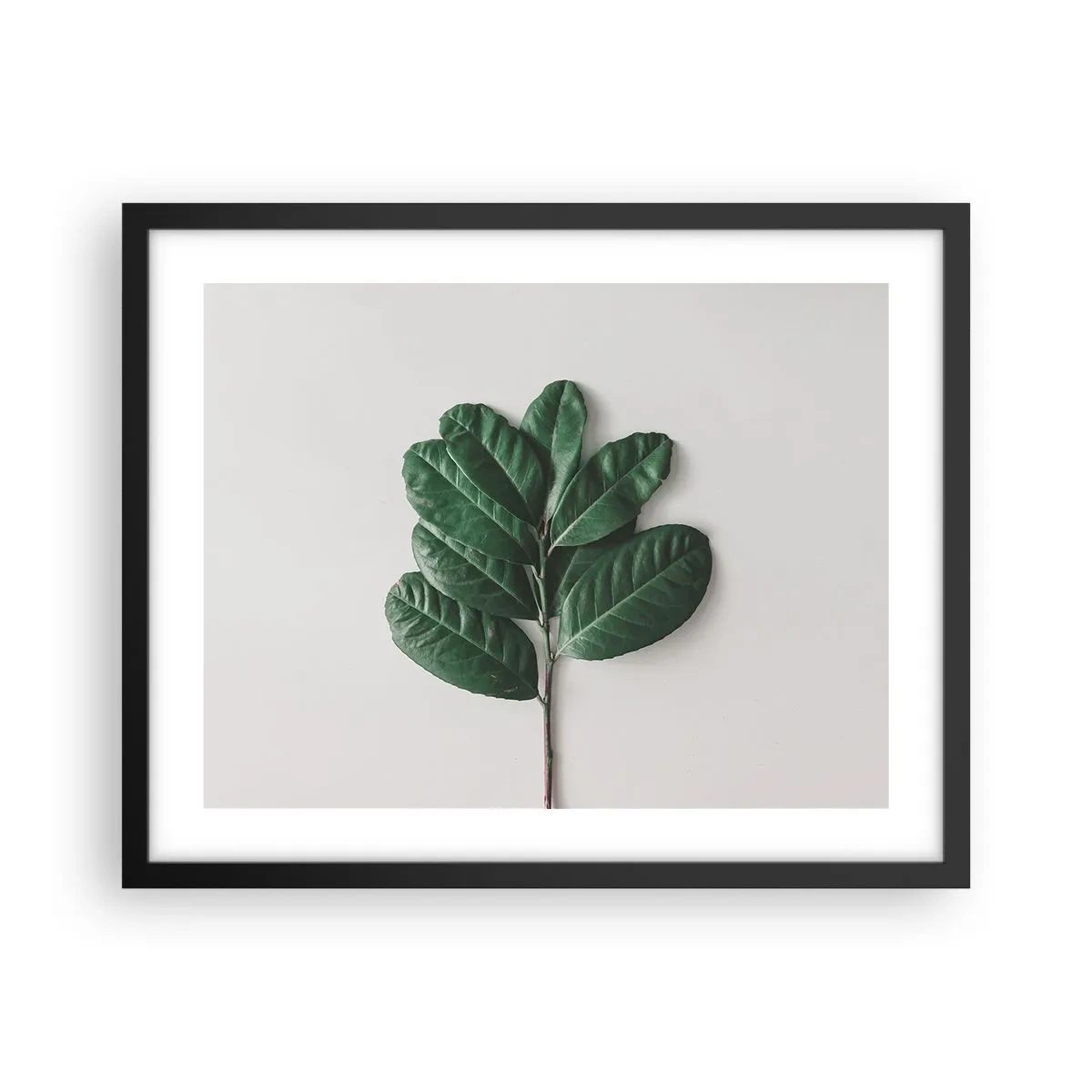 Affisch i svart ram - Själva naturens bild - 50x40 cm