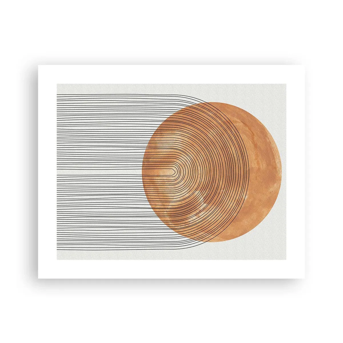 Affisch - En solig komposition - 50x40 cm