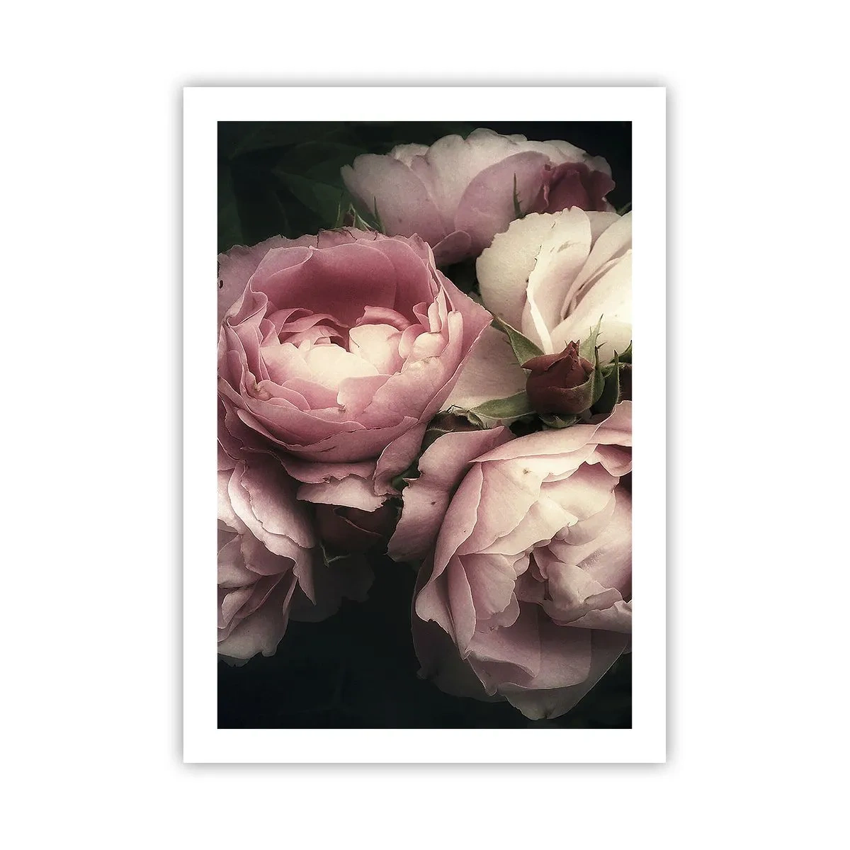 Affisch - Belle epoque charm - 50x70 cm