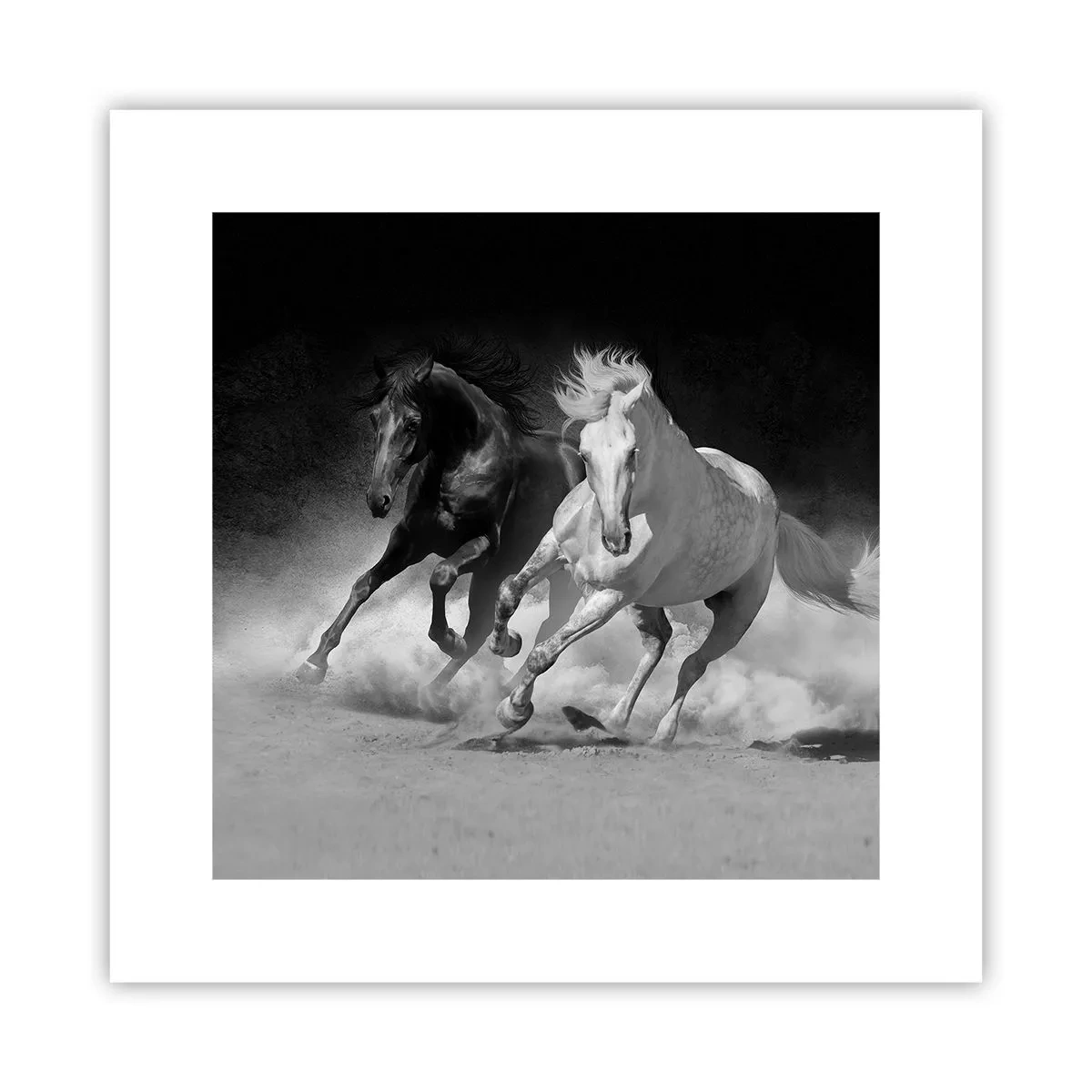 Affisch - Frihetens galopp - 30x30 cm