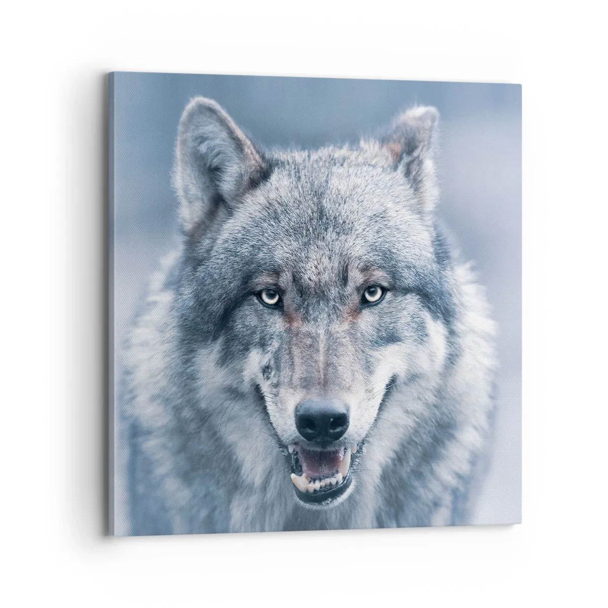 Canvastavla - Bild på duk - Tar du utmaningen? - 70x70 cm