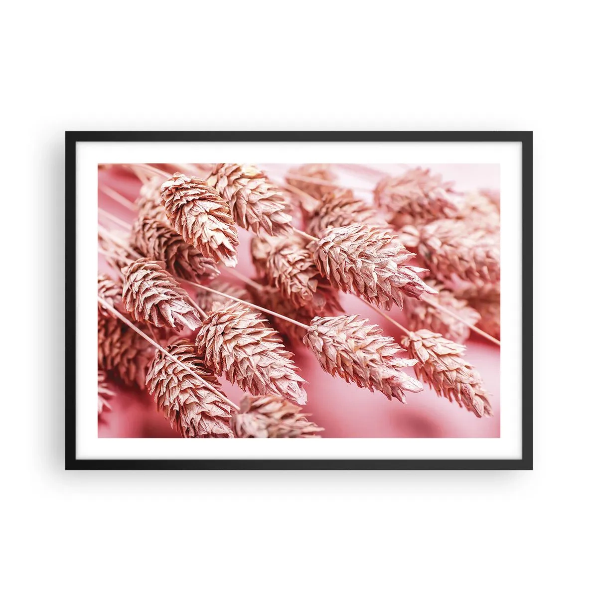 Affisch i svart ram - Blomkaskad i rosa - 70x50 cm