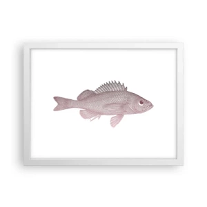 Affisch i vit ram - Storögd fisk - 40x30 cm