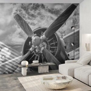 Fototapet på mått Premium Canvas - Luftrummets härskare - Plan, Flygplanspropeller, Årgång