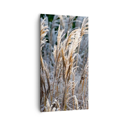 Canvastavla - Bild på duk - Frostprydda - 55x100 cm