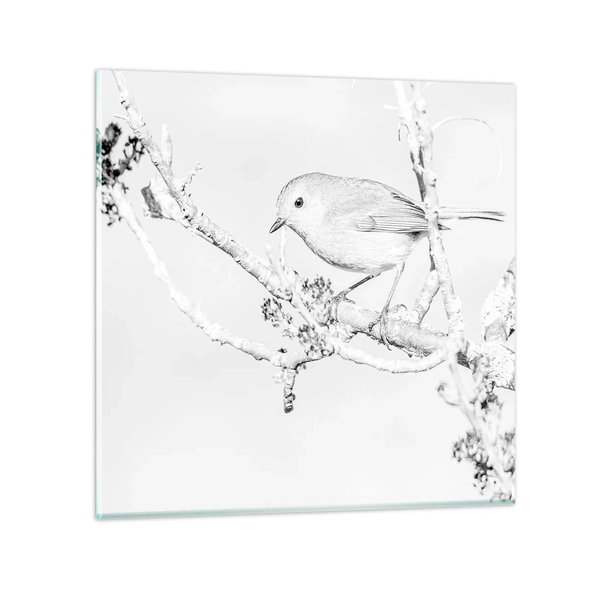 Glastavla - Bild på glas - Vintermorgon - 70x70 cm