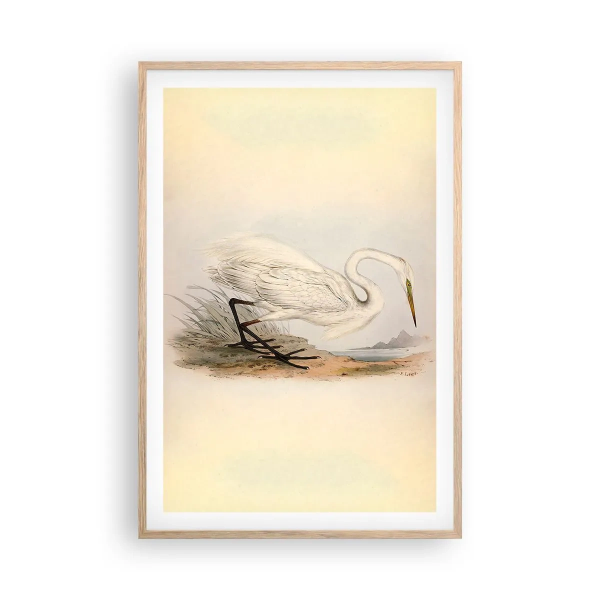 Affisch i ram av ljusek - En dam i vassen - 61x91 cm