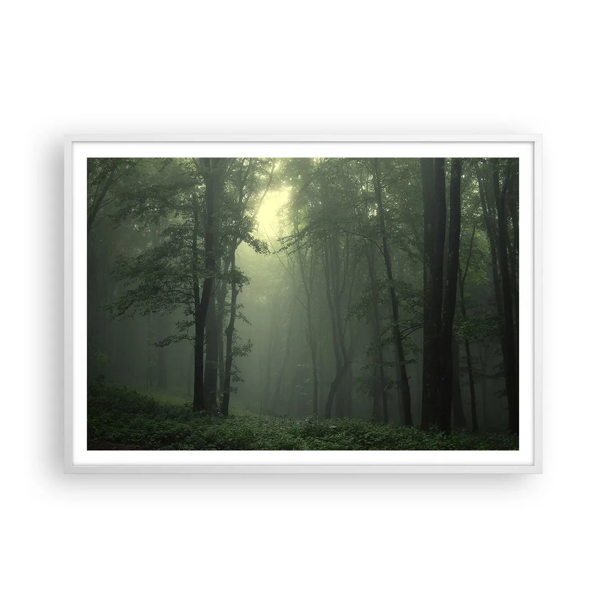 Affisch i vit ram - Innan skogen vaknar - 100x70 cm