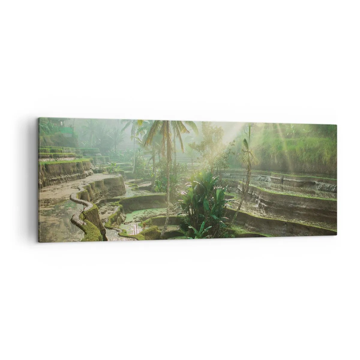 Canvastavla - Bild på duk - Växa upp i solsken - 140x50 cm