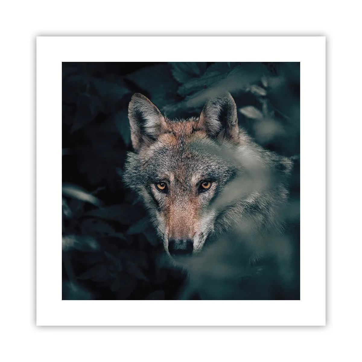 Affisch - Jägare - 40x40 cm