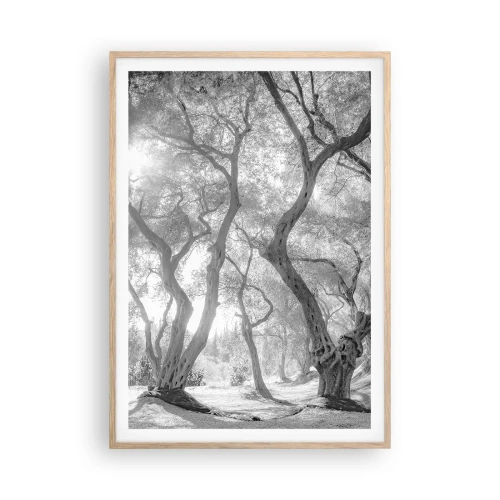 Affisch i ram av ljusek - I en olivlund - 70x100 cm