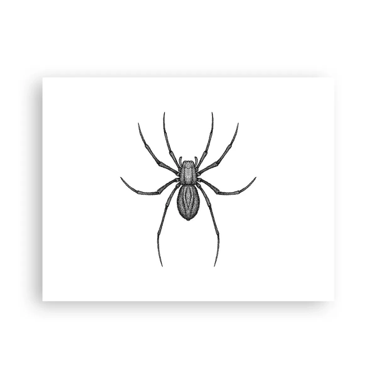 Affisch - Oroväckande precision - 40x30 cm