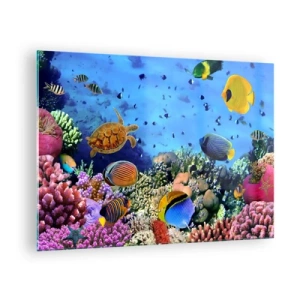 Glastavla - Bild på glas - Färgglada fiskar och en havssköldpadda mot ett korallrev - 70x50cm - Vad vet vi om livet... - Modern väggdekoration för vardagsrum och sovrum ARTTOR
