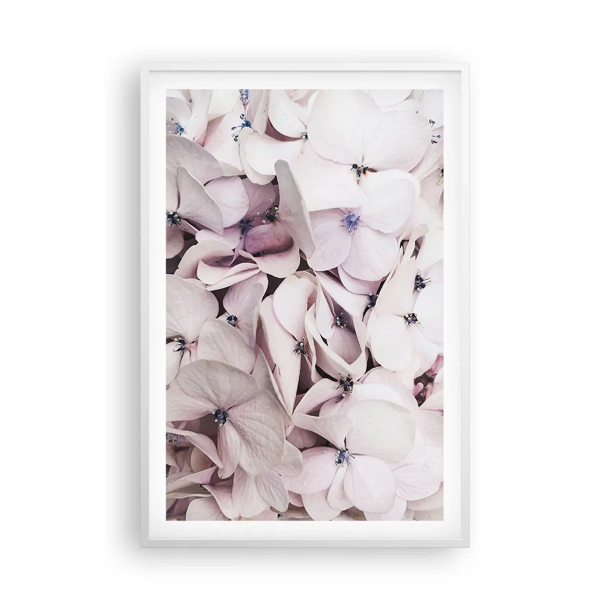 Affisch i vit ram - I en flod av blommor - 61x91 cm