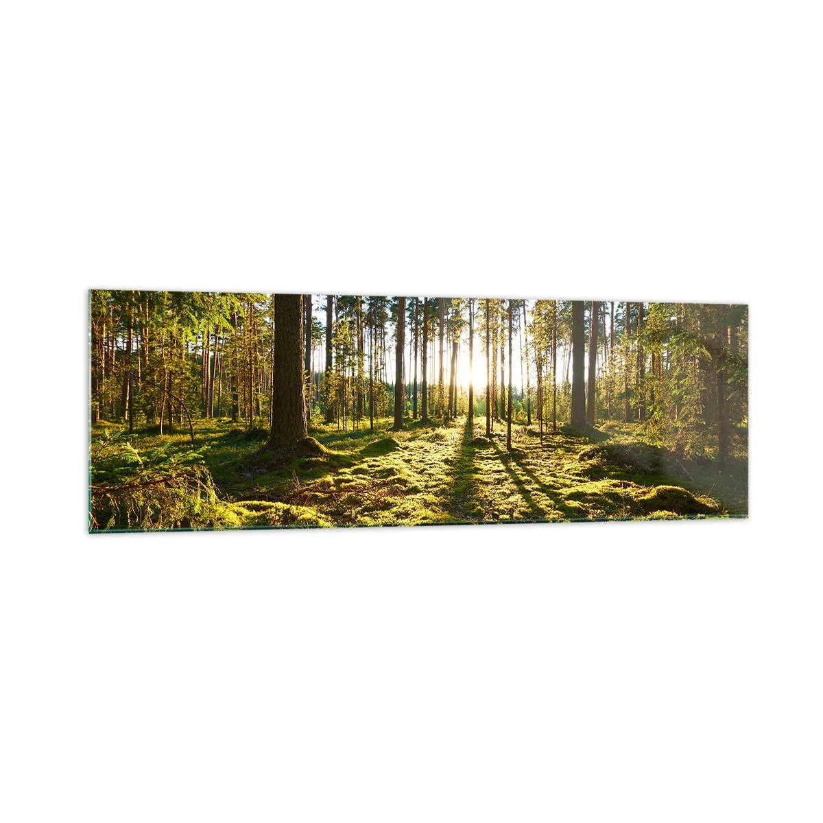 Glastavla - Bild på glas - ...Bortom sjunde skogen - 160x50 cm